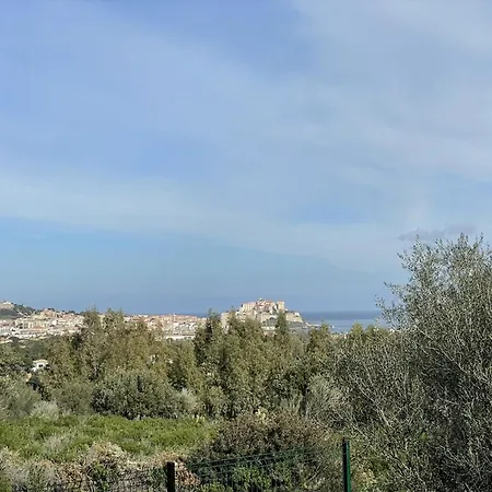 T2 Avec Piscine A - Fr-1-719-25 Calvi (Corsica)